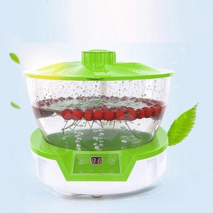 Vegetable Washer Ozone Machine Water Purifier Automatic Food Disinfection Detoxification Outdoor Water Purifier for Home